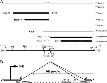 FIG. 1.