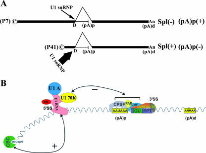 FIG. 6.