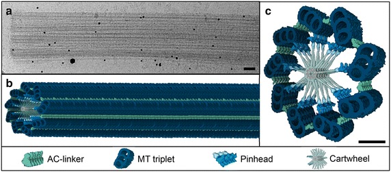 Fig. 3