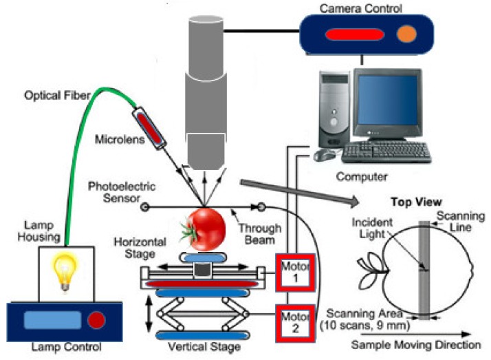 Figure 6