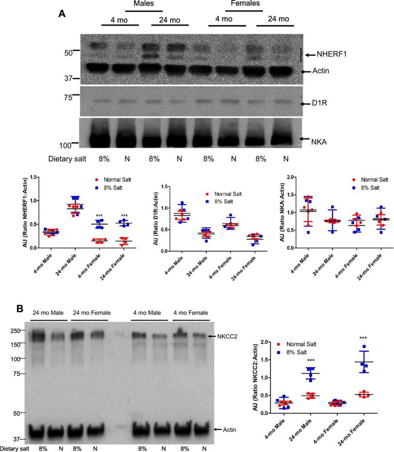 Figure 5: