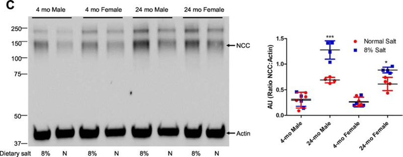 Figure 5: