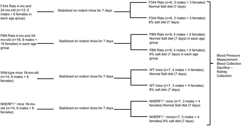 Figure 1: