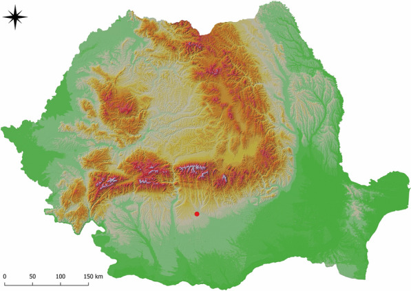 Fig. 1