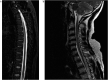 Fig. 4 –