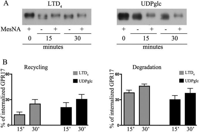 FIGURE 12.