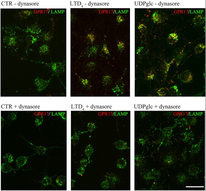 FIGURE 11.