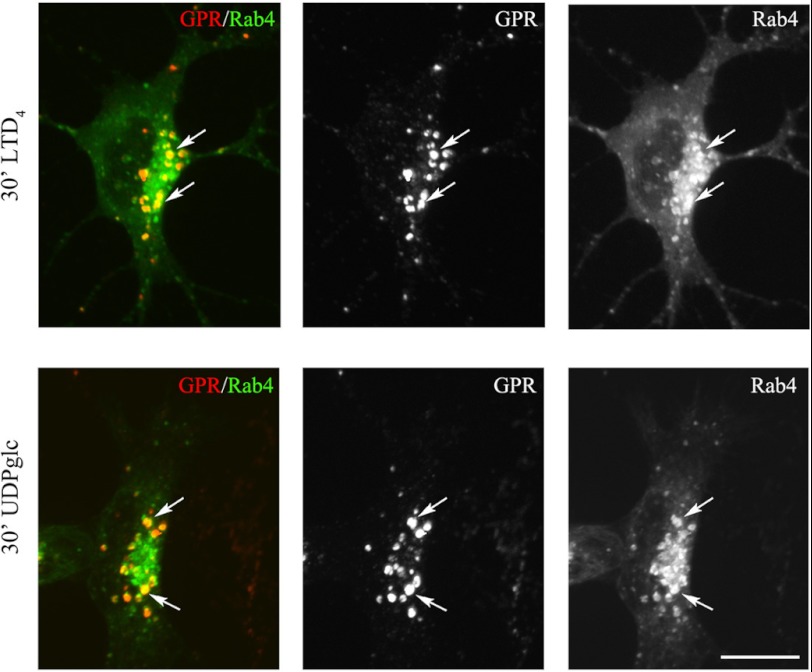 FIGURE 14.