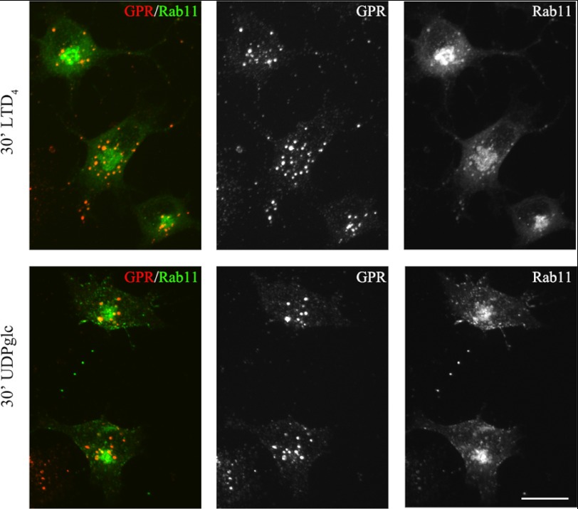 FIGURE 15.