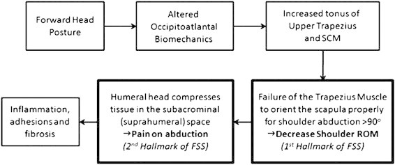 Fig 5