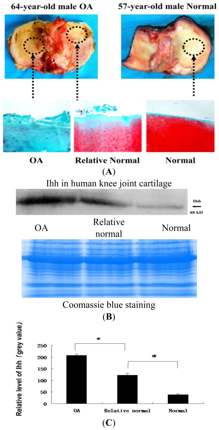 Figure 3.