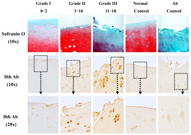 Figure 2.