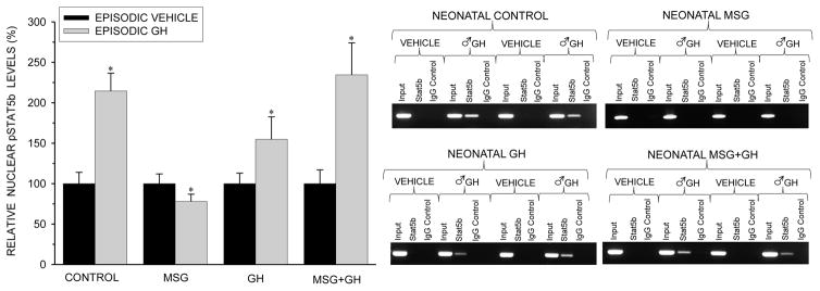 Figure 5