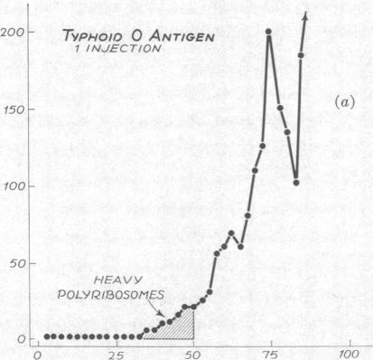 graphic file with name pnas00161-0198-a.jpg