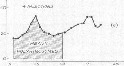 graphic file with name pnas00161-0198-b.jpg