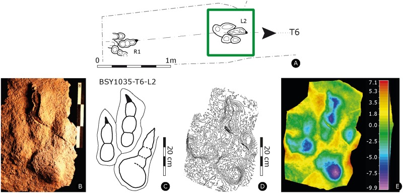 Fig 10