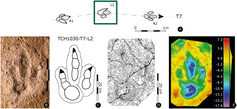 Fig 6