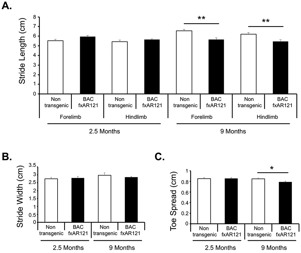 Figure 2: