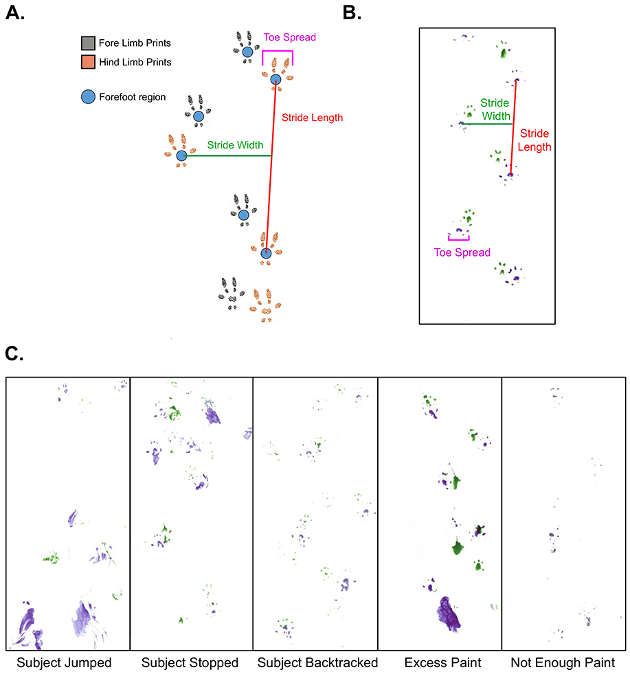 Figure 1: