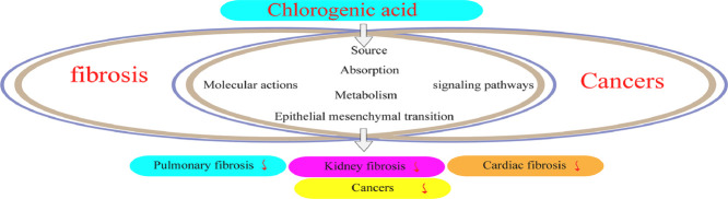 Image, graphical abstract