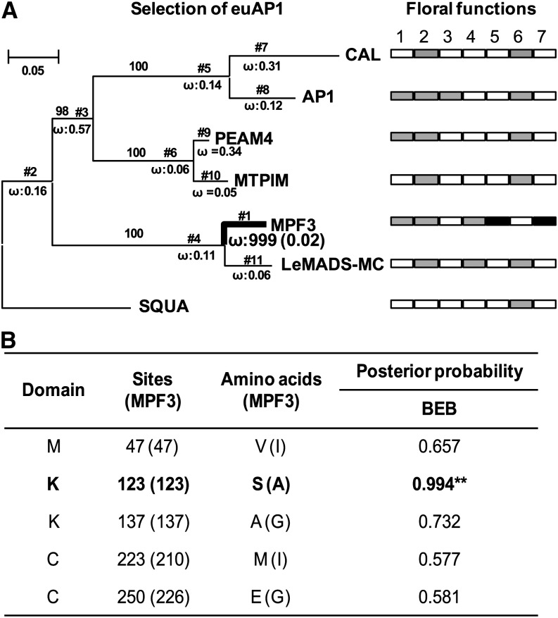 Figure 9.