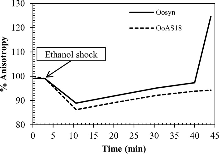 FIG 6