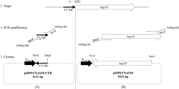 FIG 2