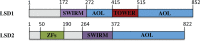 Figure 30