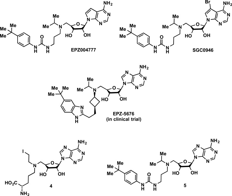 Figure 20