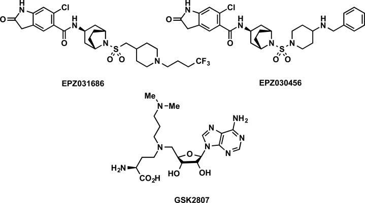 Figure 10