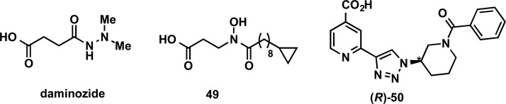 Figure 46