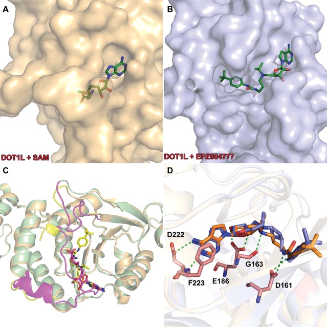 Figure 21