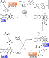 Figure 31