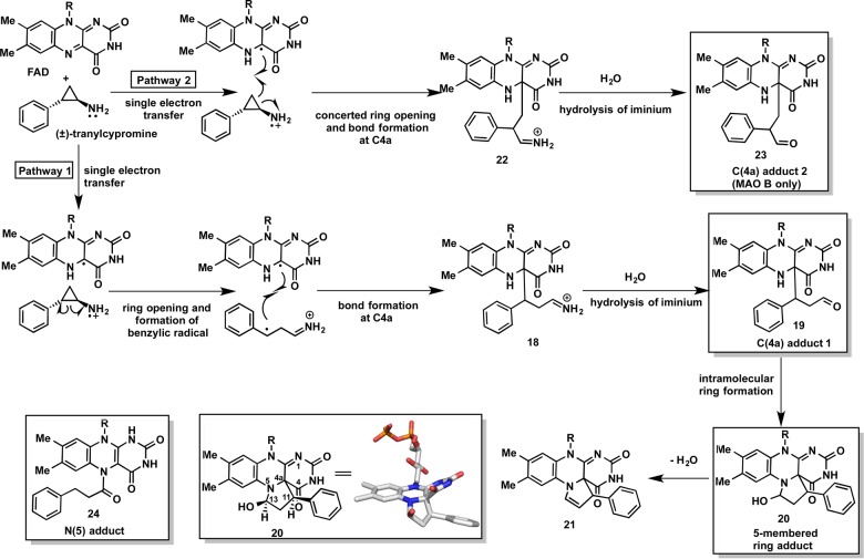 Figure 33