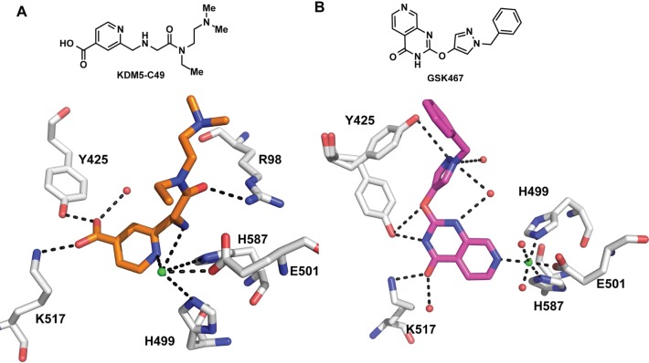 Figure 52