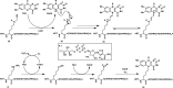 Figure 37