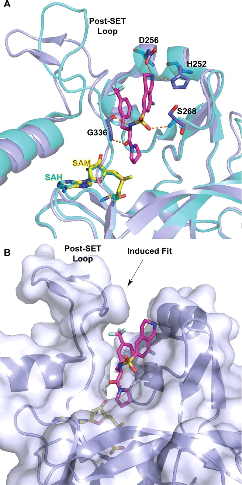 Figure 9