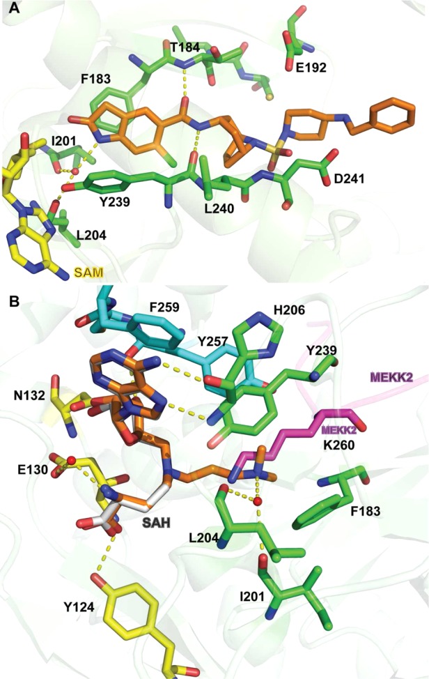 Figure 11