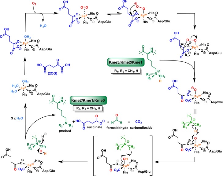 Figure 44