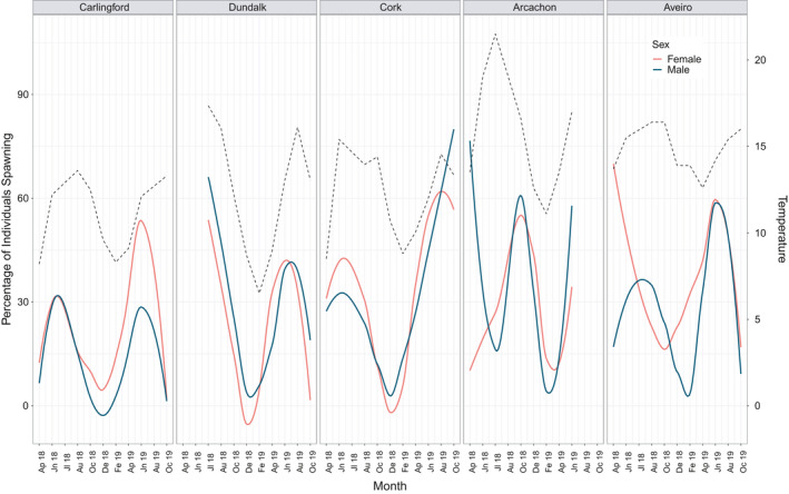 FIGURE 6