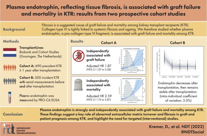 Graphical Abstract