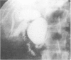 230