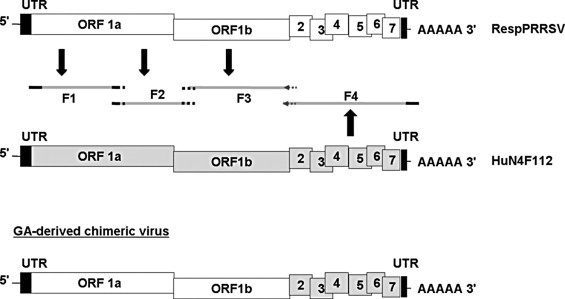 Fig. 5