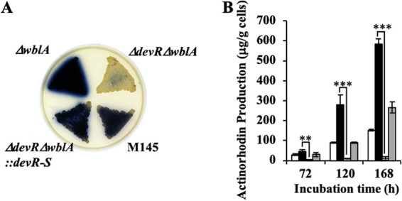 FIG 6