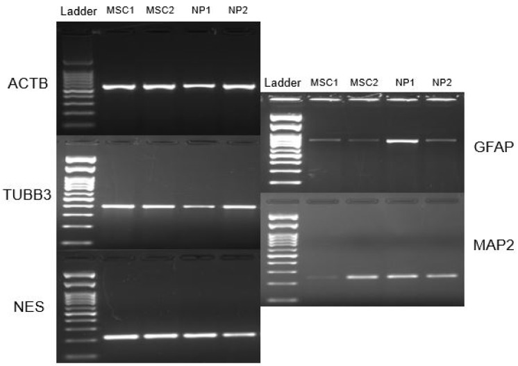 Figure 9