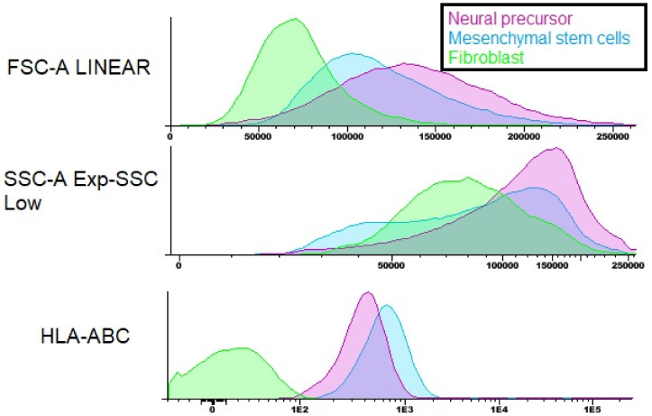 Figure 11