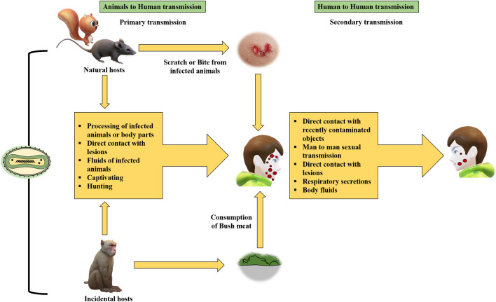 Fig. 2