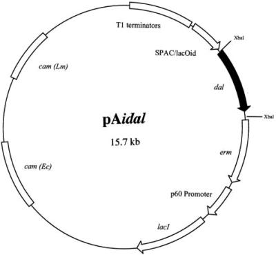 FIG. 1.