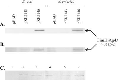 FIG. 6.