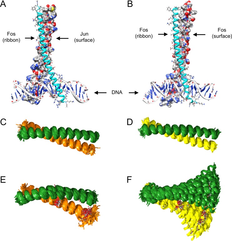 FIG 8